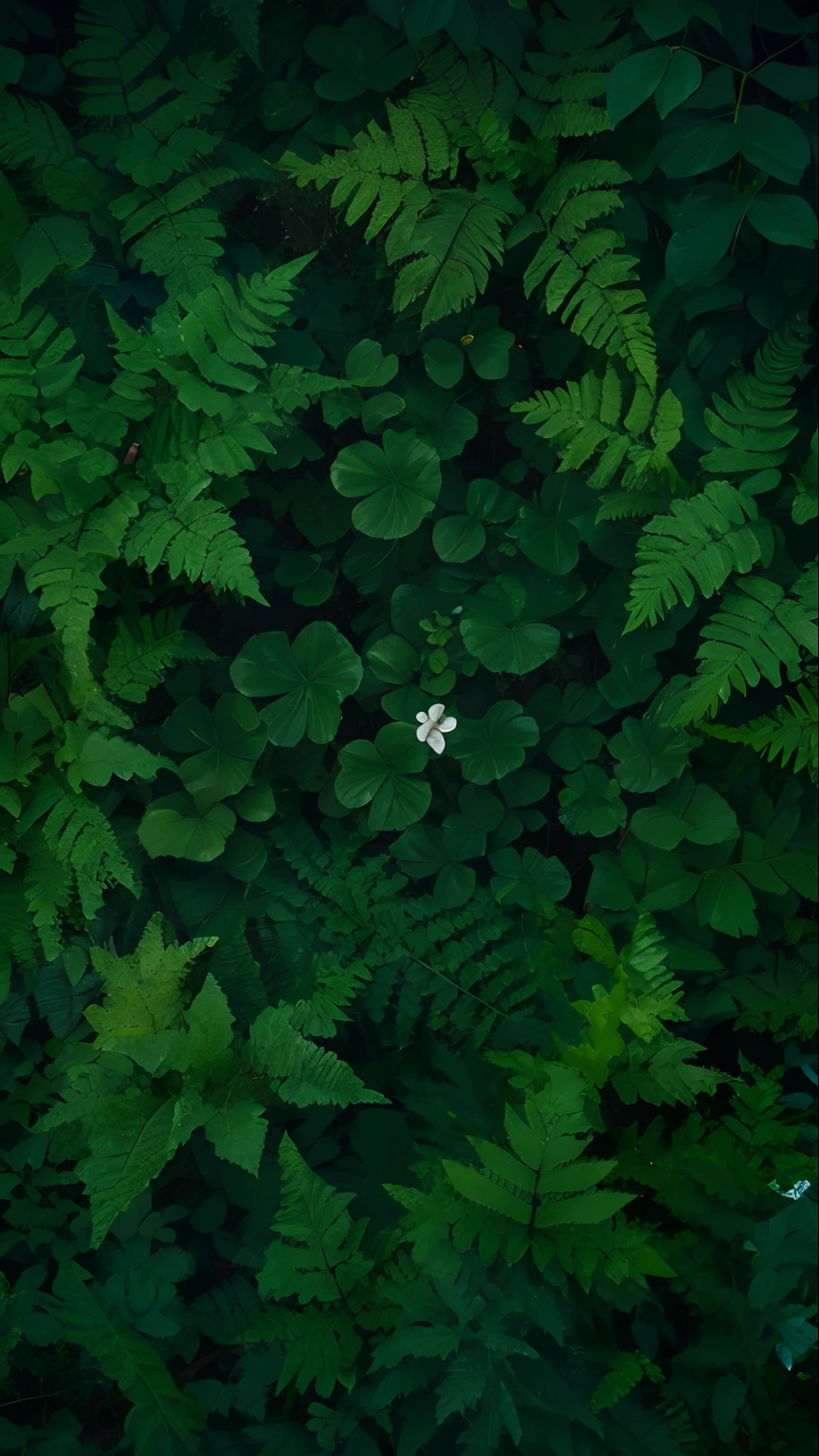 Foliage surrounds the product，sunlighting，4k画质