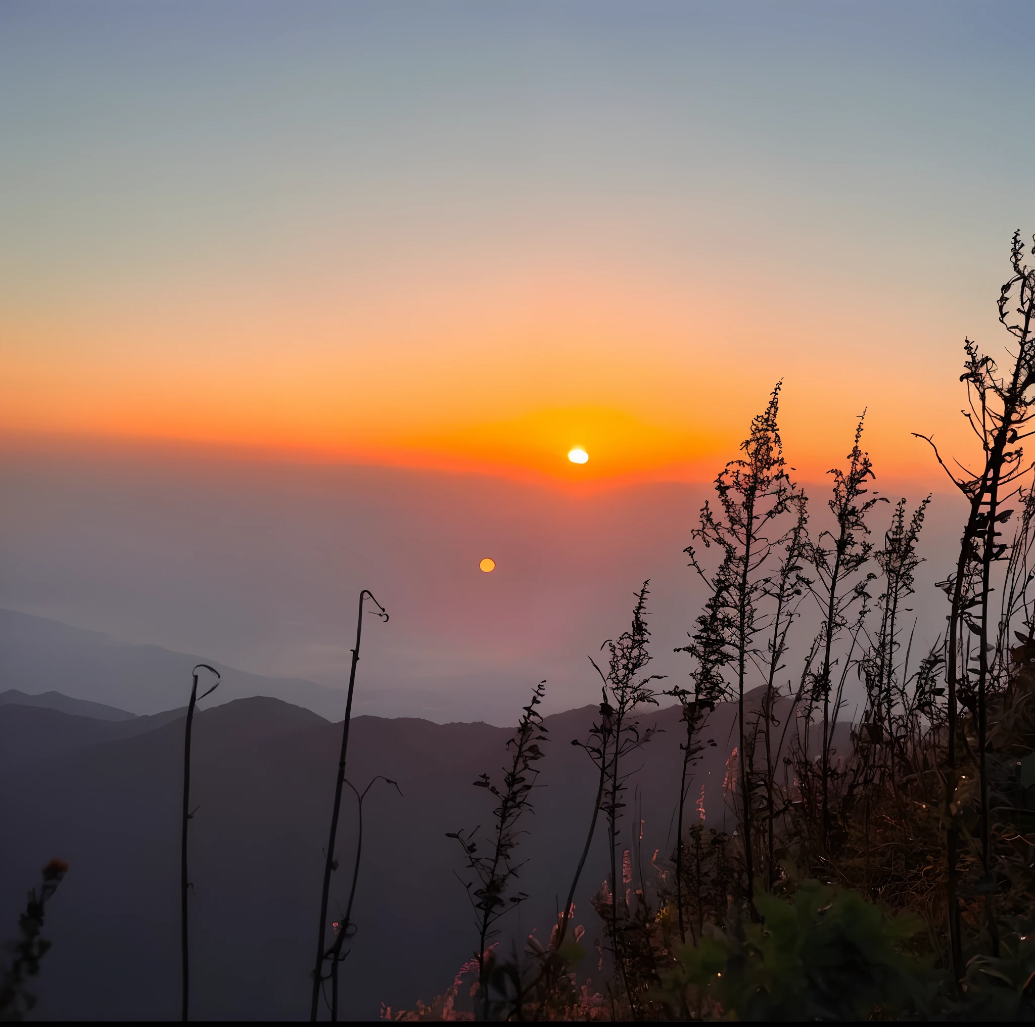 Sunset on the mountain,There are several plants in the foreground, Sunset view, late sunset, during sunrise, late sunset, sun setting in the background, in a sunset haze, At sunrise, With sunset, mountains and sunset!!, The most beautiful sunset, sun rises between two mountains, Sunset atmosphere, The sun is setting, Sunset in the background
