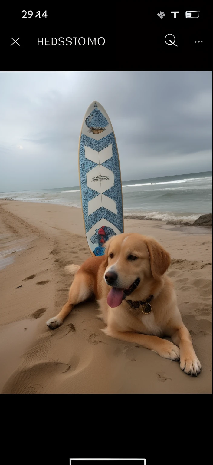 there is a dog laying on the beach with a surfboard in the background, slightly golden, moon goddess, a wide full shot, lunar goddess, beach setting, scenic full shot, he is a long boi ”, slight overcast, in front of a big moon, artemis, slice of life”, a still of a happy, hanna moon, pixar stile