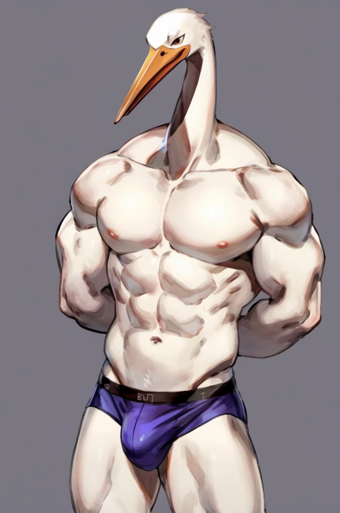 Furry, Anthro, Stork, Male, E621, Standing, Muscular, Hands behind back, Wearing underwear, Simple image background, Front view, White skin, by buta99