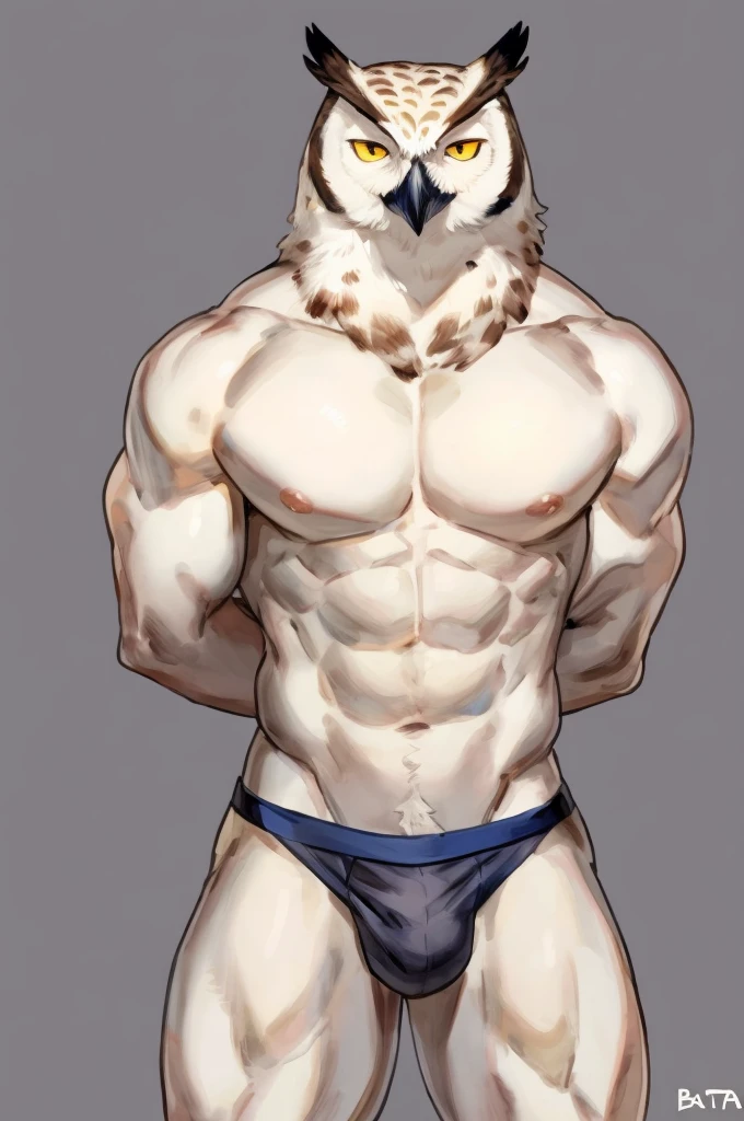Furry, Anthro, Owl, Male, E621, Standing, Muscular, Hands behind back, Wearing underwear, Plain background, Front view, White skin, by buta99