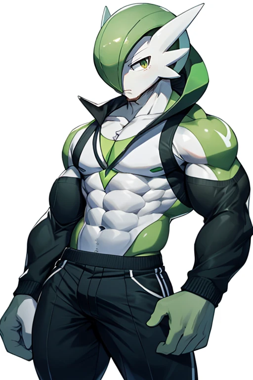 masterpiece, best quality, full body, Solo, male focus, (masculine), furry, pectorals, pectoral cleavage, muscular, sidepec, (wide hips), huge ass, ((Gardevoir)), ((pokemon)), (off-shoulder suit), (sweater crop top),
