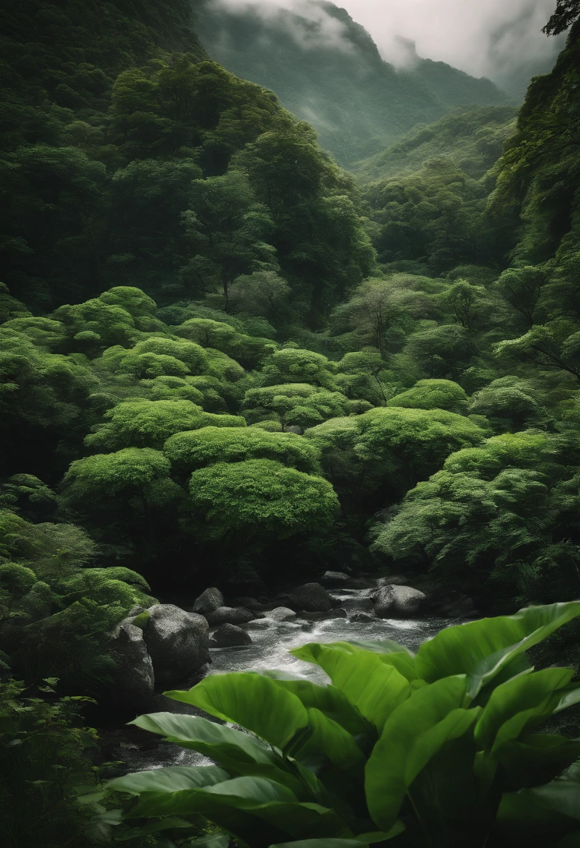 Beyond Antarctica、Go to the Garden of Eden、Beyond Antarctica、There is a green paradise, the Garden of Eden