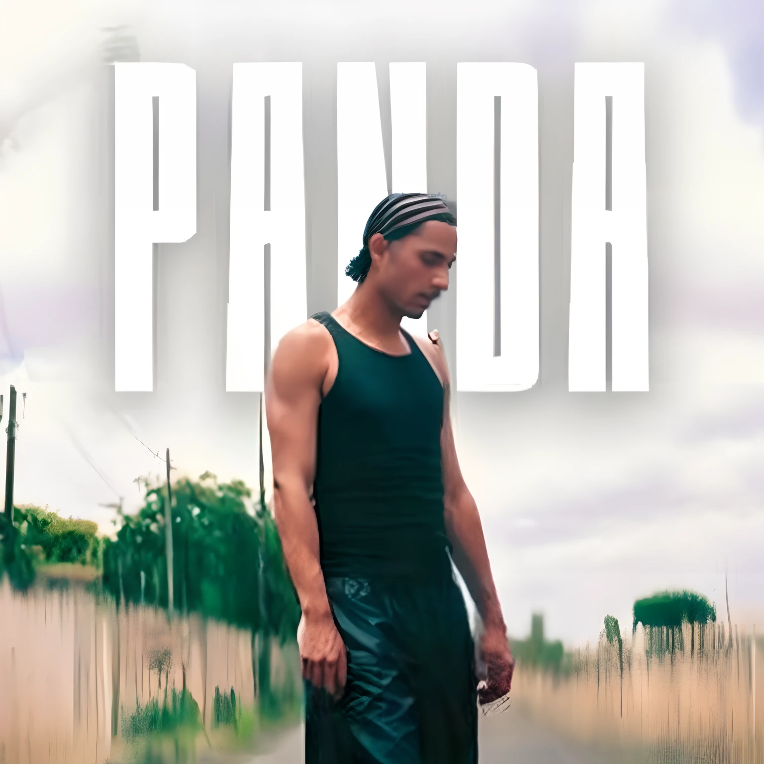 Imagem de um homem andando de skate por uma rua, Panda Panda Panda, panda, an album cover, album cape!, new album cover, Paulo Pepera Pablo Roldan, pantera, Pandora, album cape, Directed by: Ryan Pancoast, Selva de Pandora, music album cover, obras de arte pagas, Wakanda, Brandon, music album art, Videoclipe oficial