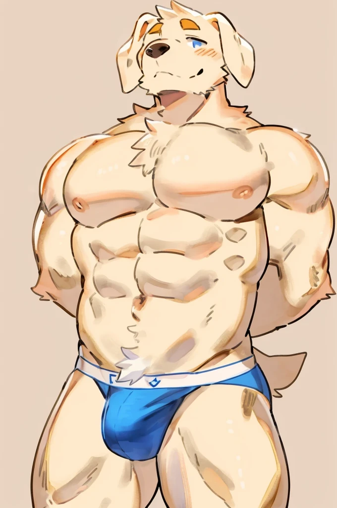 Furry, Anthro, Labrador, Male, E621, Standing, Muscular, Hands behind back, Wearing underwear, Plain background, Front view, Light fur, by buta99