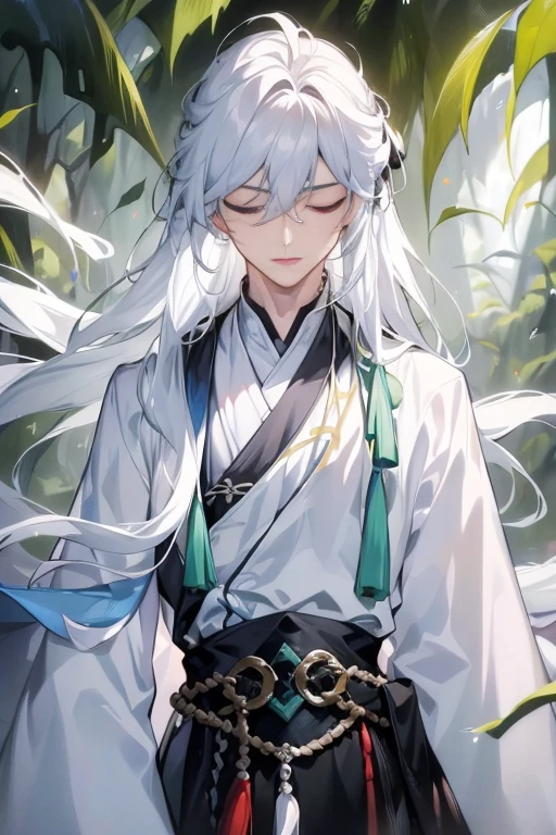 ((Official fine art，tmasterpiece)):0.9，Sharp focus，1 boy，China-style，Oriental fantasy，long white robe，long  white hair，apathy，high and cold，A male god，Long sword at the waist，bamboo forrest，cold shades，gloom，Long black hair fluttering in the wind，Bunched hair，Sword eyebrows，Close your eyes。