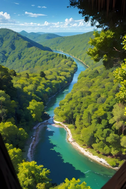 forest Bird's Eye View (BEV)
