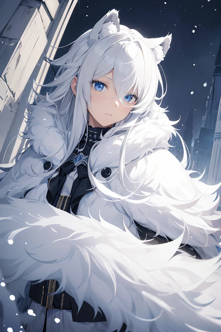 Best Quality, masutepiece, 1boy, White tiger ears, ((((Fluffy)))), Grey Food Up, Cape, ((Winter clothes)), White hair, Long hair, Hair over one eye, Blue eyes, deadpan,