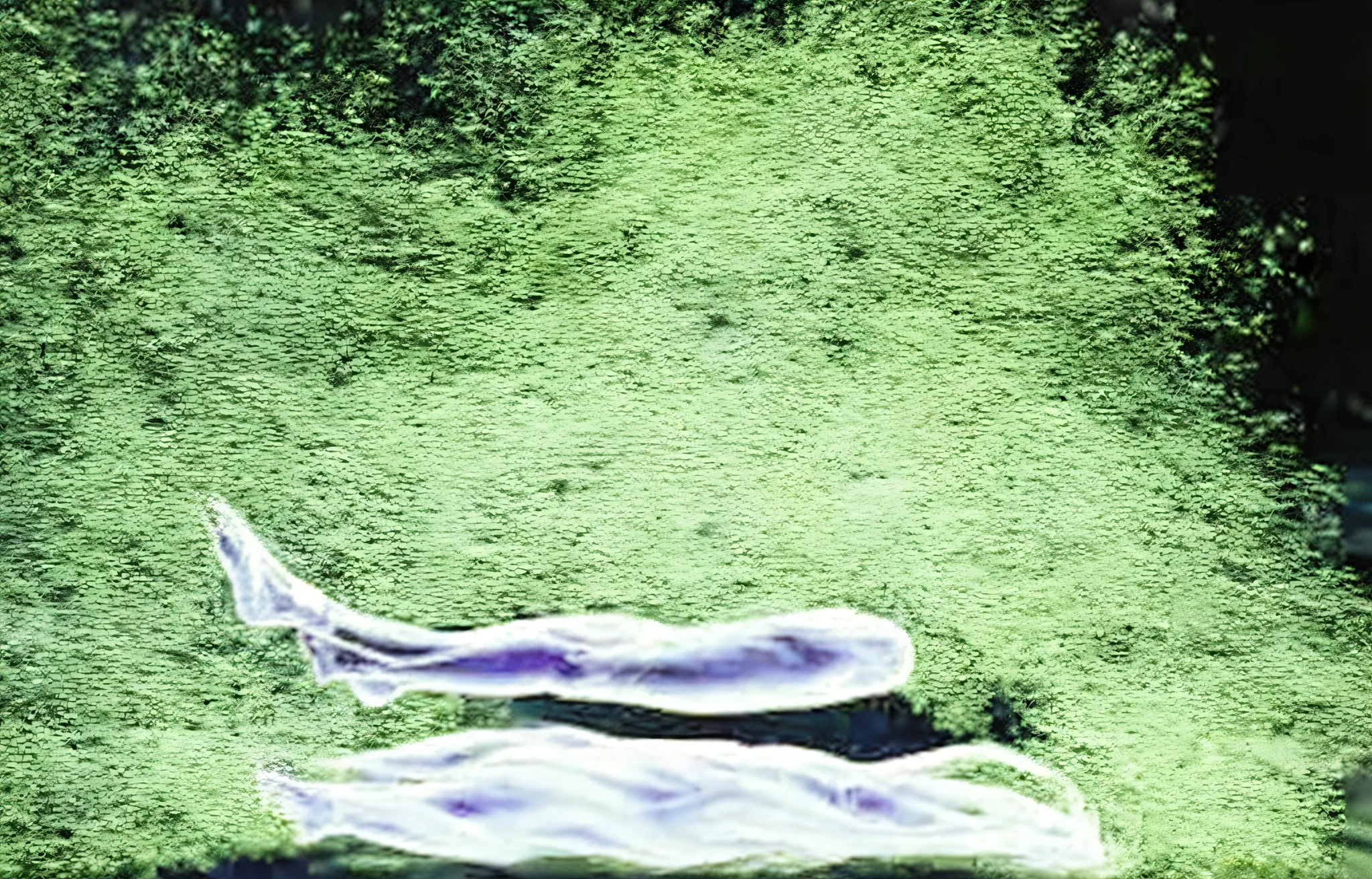 PERSON LEAVING THERE BODY AS A GHOST