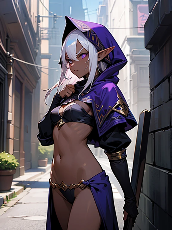 1girl, dark skin, elf, white hair, thief armor, skimpy clothing, hood, serious look, purple pupils, black sclera, fantasy city, alleyway