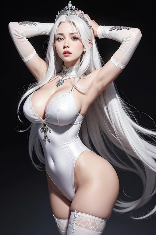 Female , white hair , Large breasts,Silver armor panty,tiara crown,dramatics ,