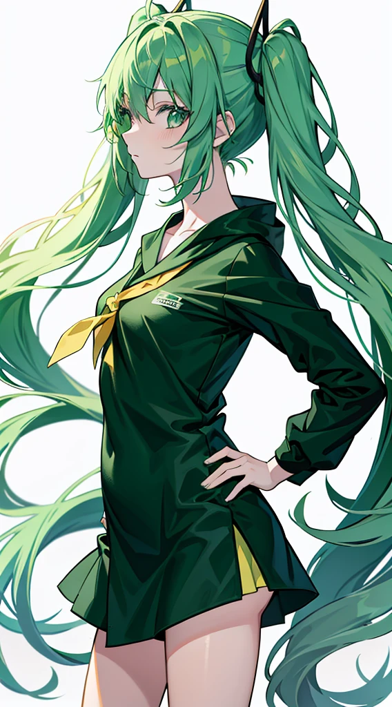 Twin-tailed、Green hair, animesque, Contemporary art, minimalism, High quality