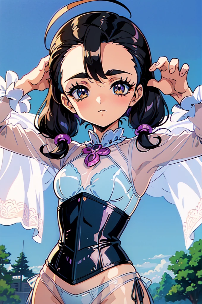 "(masterpiece:1.1), best quality,
1girl, (80s anime style:1.4), (eyelashes:1.5),(loli:1.2),
(intricate high detailed body:1.2),
black hair,
(hair slicked back:1.2), (wavy twintails:1.1), (crown:1.2),
brown eyes, (thick eyebrows:1.1),
(small breasts, flat chest:1.1),
light smile,
(see-through cloth bikini armor, corset:1.2),
(flower brooch:1.1), (ahoge:1.2), neckwear,
standing, claw pose,
(upper body, looking at viewer, from front:1.1),
(daytime, grassland, outdoors:1.1)"
