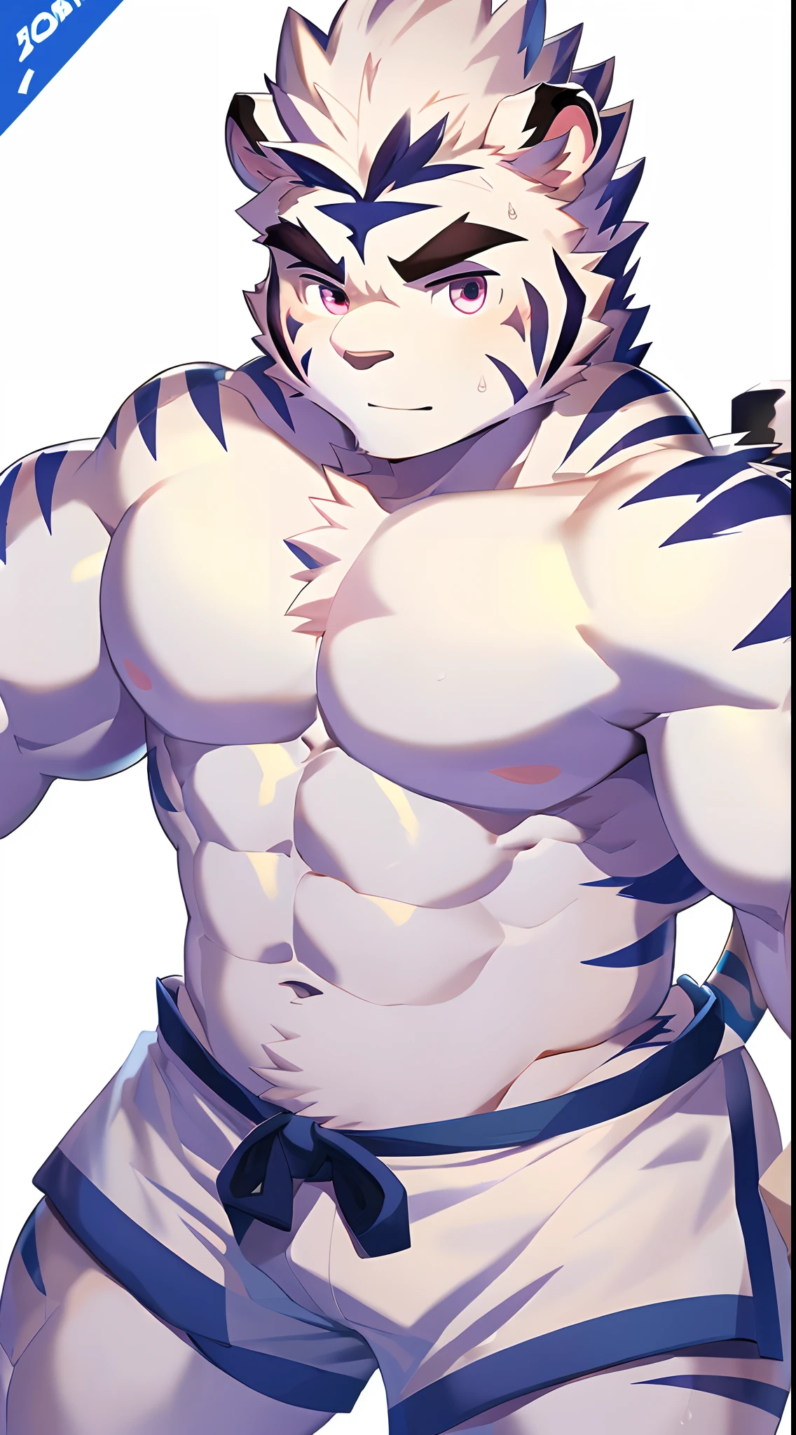 Hominidae, Pose for Camera. 4K, high resolution, Best quality, posted on e621, (Anthropomorphic white tiger:1.2), male people, 20yr old, Thick eyebrows, Light blue stripes, Ultra-short hair, shaggy, Strong body, large pecs, ((Shirtless)), He is practicing karate, Pink milk clusters, sweat leggs, White skinny shorts, Small raised, In the gym, 独奏, (sport, Muscular, Heavyweight:1.2), Correct anatomy, (by Chunie, author：Taran Fidler:0.8), (Detailed eyes:1.2), Sexy, (cel-shaded:1.2), cartoon shading, Serious expressions, Be red in the face, (view the viewer:1.2)