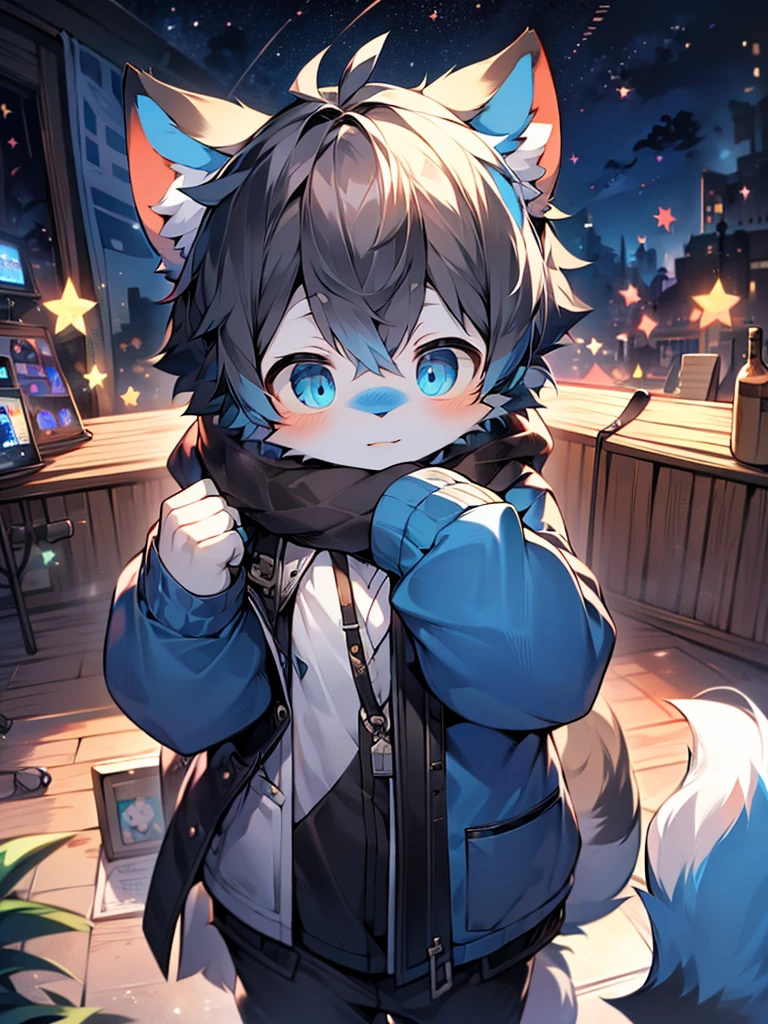 （1boys），（shota），（high-definition quality，Masterpiece level），cute teen character，Dark gray hair，blue colored eyes，（Wolf ears），（Wolf tail），One tail，（No ears），（younge boy），（Ear covering），（hair covered ears），facial camera，A pinch of blue bangs，in a panoramic view，Look at the stars