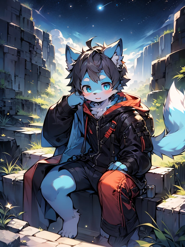 (1boys),(shota),(high-definition quality,Masterpiece level),cute teen character,Dark gray hair,blue colored eyes,(Wolf ears),(Wolf tail),One tail,(No ears),(younge boy),(Ear covering),(hair covered ears),facial camera,A pinch of blue bangs,in a panoramic view,Look at the stars,Leaning against a rock