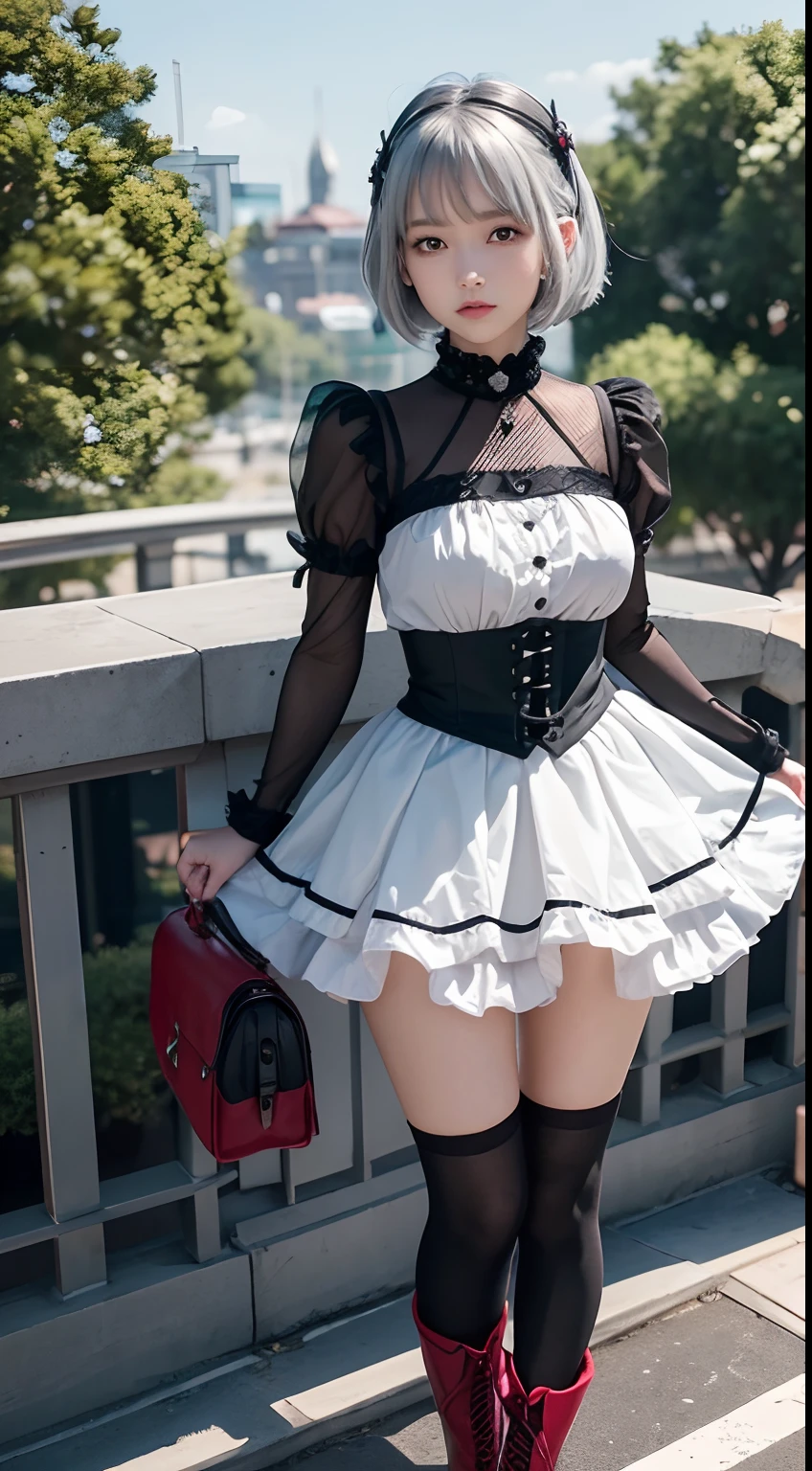 Woman knight、Princess Knight,frilly dress,kawaii,The most beautiful girl in the world,perfectly proportions,Silver Hair Shorthair with Red Mesh,Wear shorts inside a miniskirt,Wear knee socks and knee-length black boots,A face with a confident and gentle expression,Smaller head,Perfect good looks,[Determination in a near-future world,Accompanied by crows,Aerial Train Background