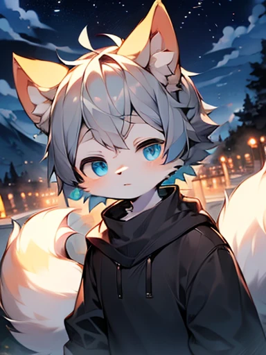 (best quality,highres,masterpiece:1.2),cute teenage character,shota,Beautiful detailed blue eyes,soft charcoal gray hair,little boy,ears hidden,hair covering ears,a tuft of blue bangs,wolf ears,wolf tail,closed eyes,long eyelashes,facial camera,panoramic view,stargazing