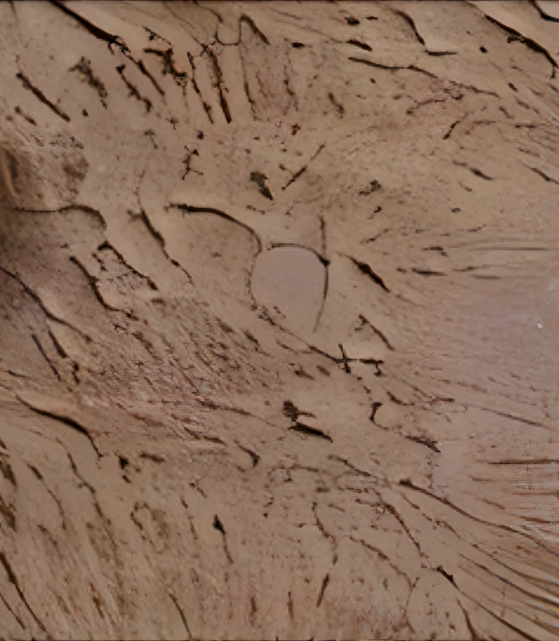 Extended image