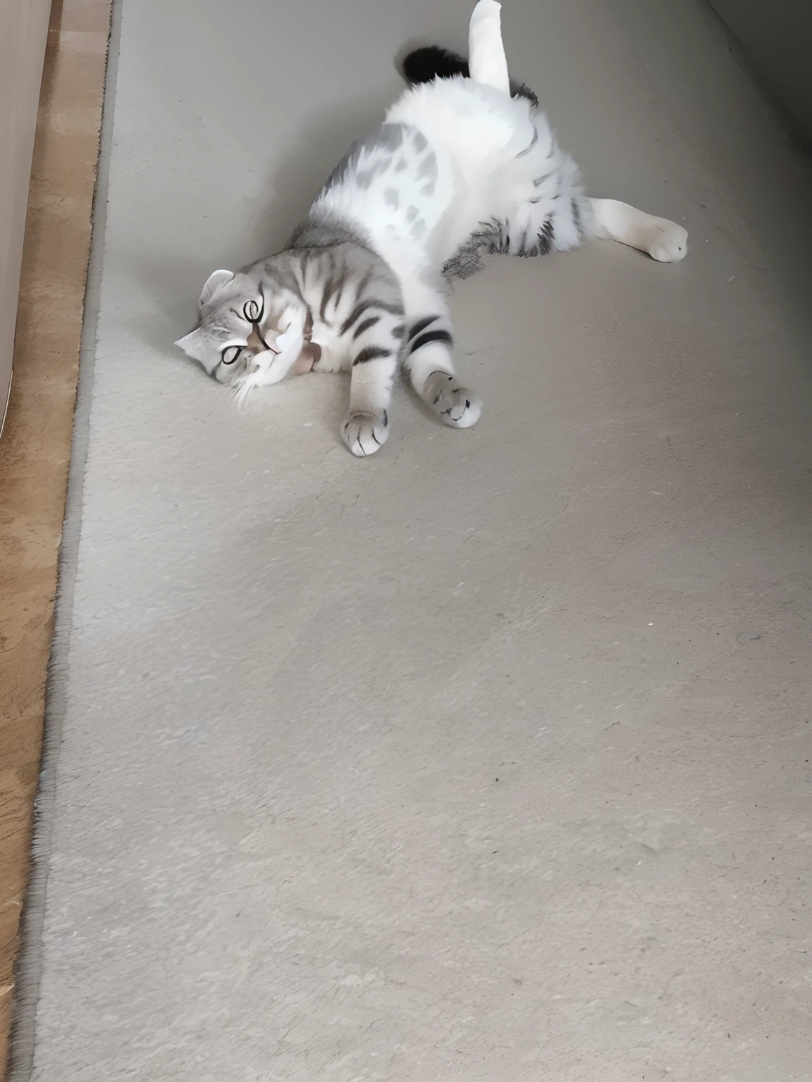 Have a cat, that lies on the floor, with your head on the floor, She is lying on her back, Scottish Fold cat, Performing a daring pose, He is very relaxed, Laying down, Performing an elegant pose, crawling towards the camera, Performing a majestic pose, lying on his back, doing a hot majestic pose, looking tired, It looks very stupid, awesome cat