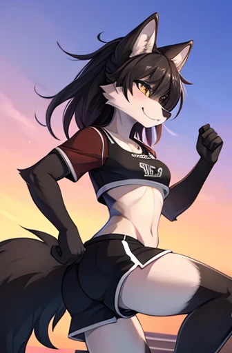 Wolf, female, furry, anthro, all black fur, sports wear, shorts, small chest, dynamic poses,