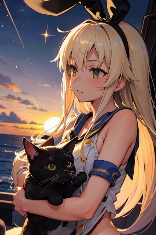 Hyper Detailed, Perfect Anatomy, Highly detailed and delicate, 1 girl, shimakaze(kancolle), 1 cat, Night, Star, milkyway, Hugging a black cat,