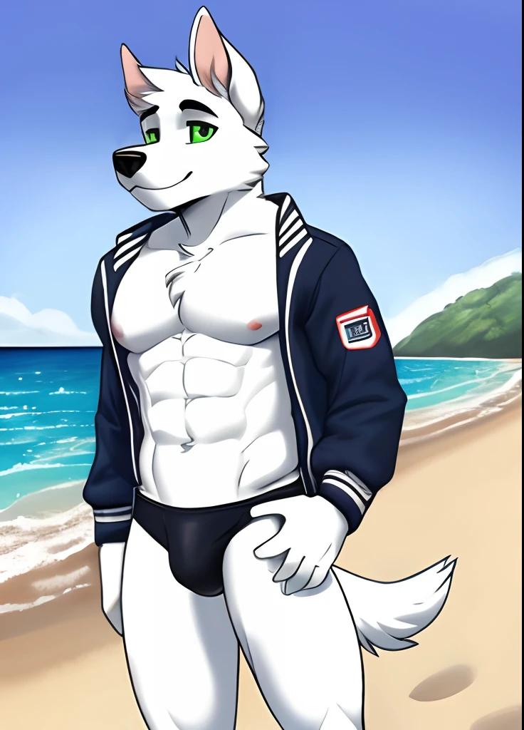 A white dog with green eyes shirtless on the beach wearing a Speedo and a black and white letterman jacket