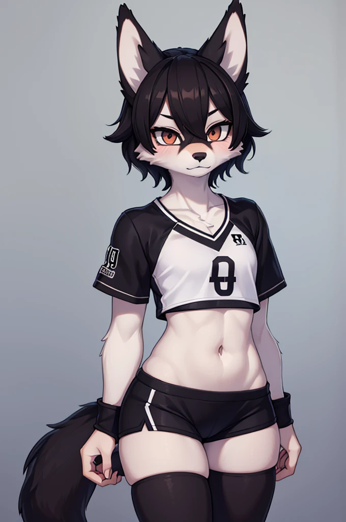 ((best quality))), (((extremely detailed))), Furry, teen, Female, Wolf, black fur, volleyball uniform, short shorts, small chest, flat chest, short hair, shy