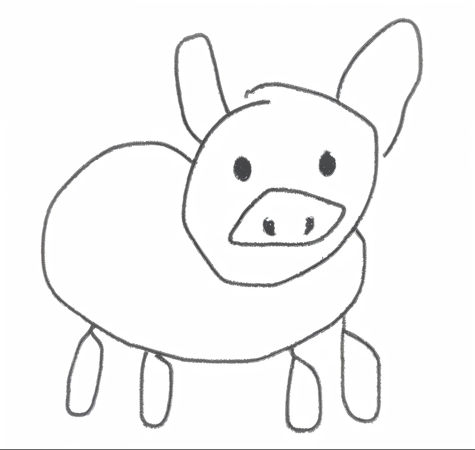 pigs