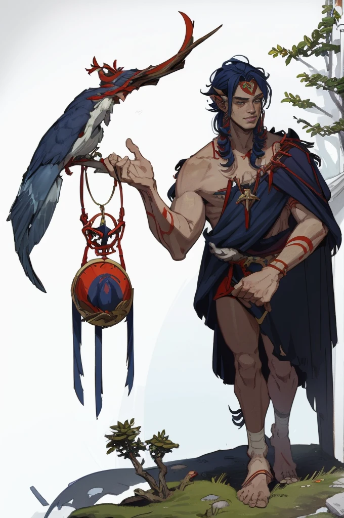 Tarot cards, Detailed juvenile male with red skin,navy blue hair, Two thin horns,Dressed as a druid,illustartion,Realistic,Harmonious colours,natural lighting,Forest setting,whitebackground