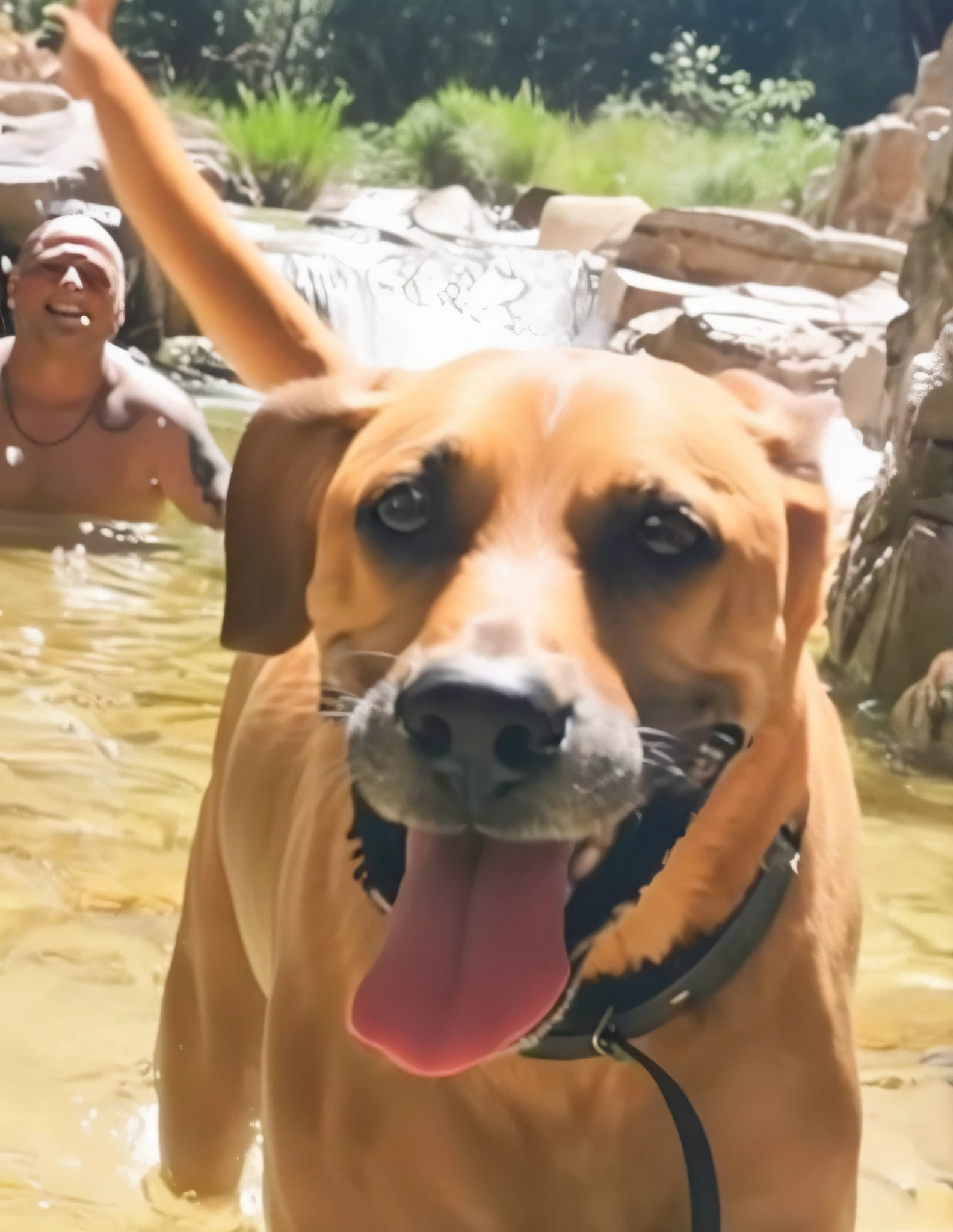 Happy birthday to a happy baby dog, 4K HD resolution, imagem de alta qualidade, imagem premiada, imagem da National Geographic com fundo granulado, imagem premiada, imagem premiada, hiper-realista, alta resolução, muito detalhada, imagem premiada, muito detalhada, Qualidade HD