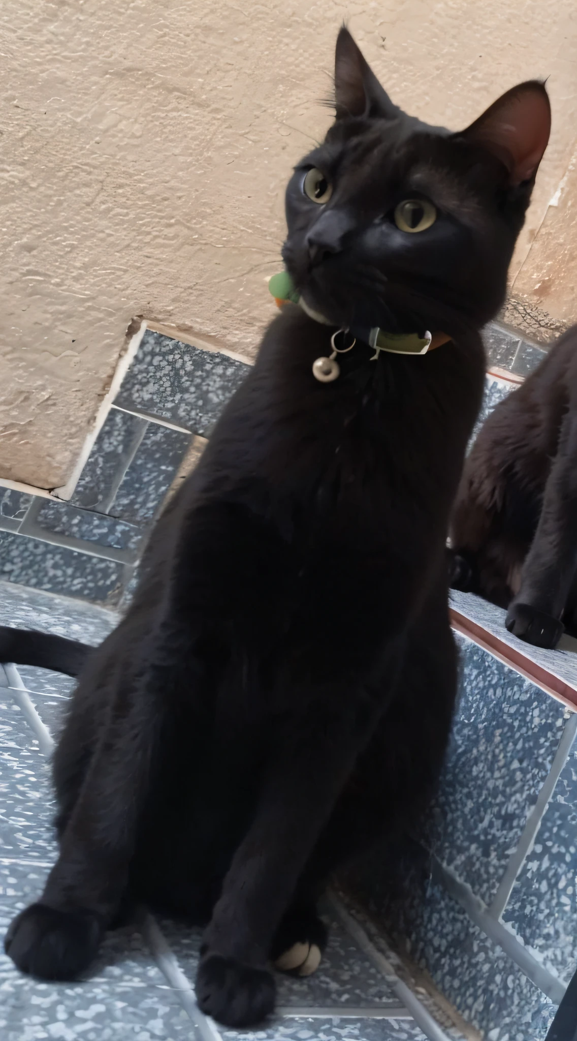 felino, ultra realista, muito detalhada, pelos macios, muito realista, imagem ultra HD, qualidade, olhos azuis, gato, felino, muito realista, pelo macio, detalhes insanos