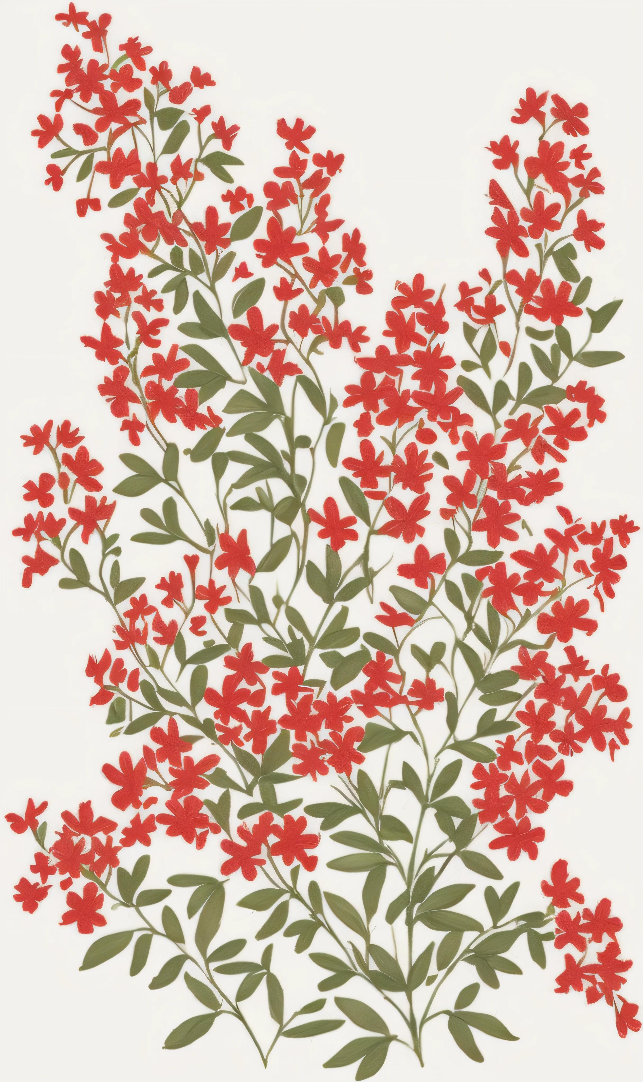 a painting of red flowers on a white background, red blooming flowers, red flowers, floral wallpaper, covered in flame porcelain vine, floral pattern, red and white flowers, red flowers of different types, celestial red flowers vibe, botanical print, tiny crimson petals falling, flowers and foliage, botanical background, red wallpaper design, flowery wallpaper, botanical artwork, kalighat flowers
