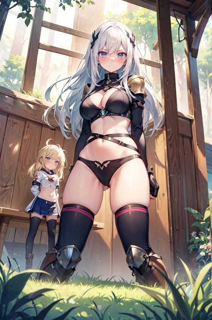 fantasy, nature, grass, forest, (height_difference:1.4), (giantess:1.4), (2girls:1.6), a girl at the feet of a giantess, from below, below view, a giantess looking down at a girl, a giantess looming over a girl, a nature forest wall, (wooden wall: 1.4), giantess girl, big breasts, navel, boots, smug, angry, blushing, looking down, (rear_end:1.4), bent over, huge (breasts:1.2), cleavage, shiny skin, bare skin, kneeling, (minigirl:1.5),
long hair, (Masterpiece), (Best Definition Animated Illustration), (Super Definition), knight, armor, shoulder plates,