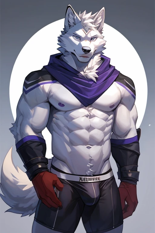 Furry, Anthro, Arctic Wolf with purple accents, Male, E621, Standing, Muscular, Hands behind back, Wearing underwear, Plain background, Front view, Light fur