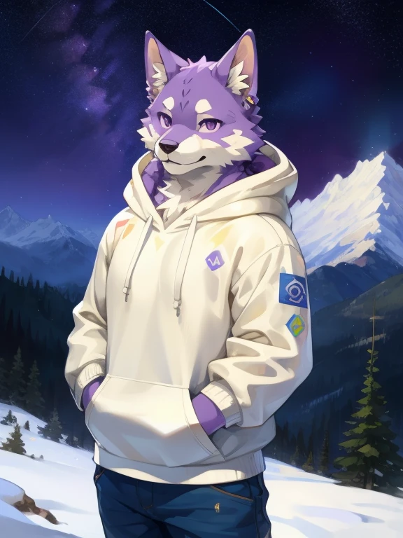 anime, coloredic0n icon Masterpieces, furry, male, bara, white fox, purple eyes, sturdy, solo, detailed eyes, (looks ):1.3, cute, kemono, by (by Pino Daeni, (by ruaidri), yupa, kiyosan), (white hoodie), ((avatar)), (((half body))), (((while and purple fur))), ((at snowy mountain, at starry night)), large chest