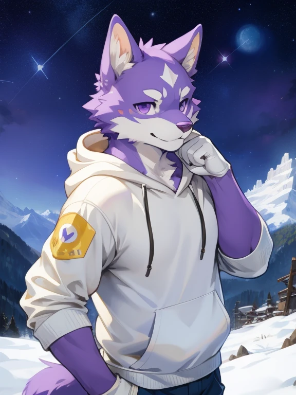 anime, coloredic0n icon Masterpieces, furry, male, bara, white fox, purple eyes, sturdy, solo, detailed eyes, (looks ):1.3, cute, kemono, by (by Pino Daeni, (by ruaidri), yupa, kiyosan), (white hoodie), ((avatar)), (((half body))), (((while and purple fur))), ((at snowy mountain, at starry night)), large chest