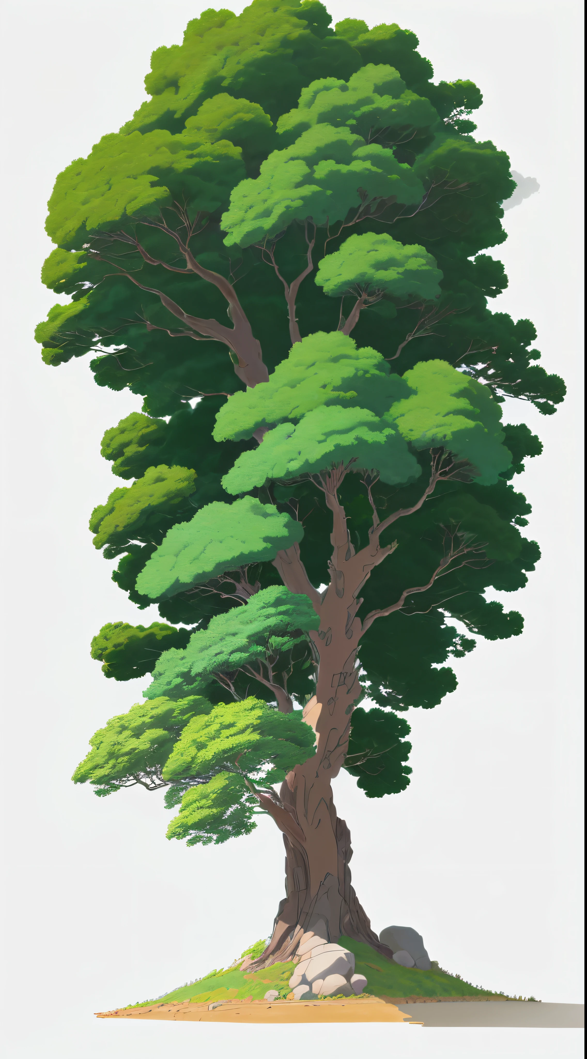 a close up a lush trees, lots of leaves, plain white background, anime style, anime rural landscape, in Makoto Shinkai style, rendering in Makoto Shinkai style, Makoto Shinkai art style, anime, anime background, 4k, 4k details, (simple coloring, line art, ghibli, ghibli scene, ghibli art style), (anime style background, anime background illustration:1.3), (high quality , high resolution, masterpiece),
