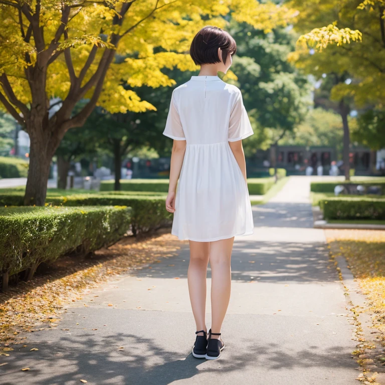 1womanl、24 year old、season、autumnal、a park、Shorthair、casual dress、posterior view、white clothes、Photorealsitic