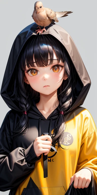 there is a woman, has honey eyes wearing black hoodie on her head, her black wavy bangs are covering her forehead, she's holding a bird, a mourning dove in her hand and looking at it