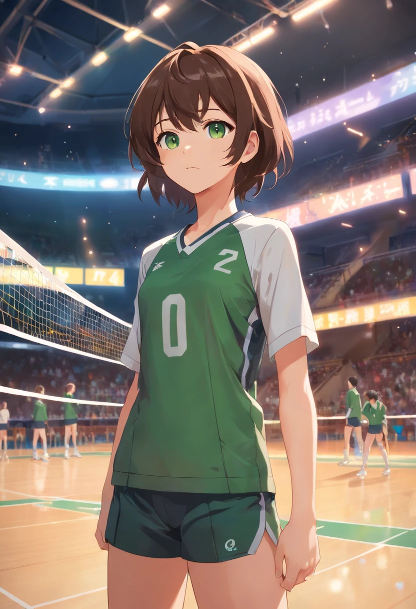 Shoichi, uploaded on e621, by Pixelsketcher, by Bayard Wu, by Thomas Benjamin Kennington , by Einshelm, Solo, Full body, Volleyball uniform, Volleyball, Volleyball Court, Green eyes