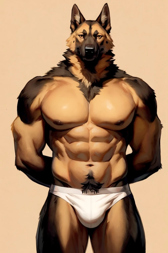 Solo, Furry, German Shepherd, Anthro, Male, E621, Standing, Muscular, Hands behind back, Wearing underwear, Plain background, Front view, Orange Fur, By bebebebebe