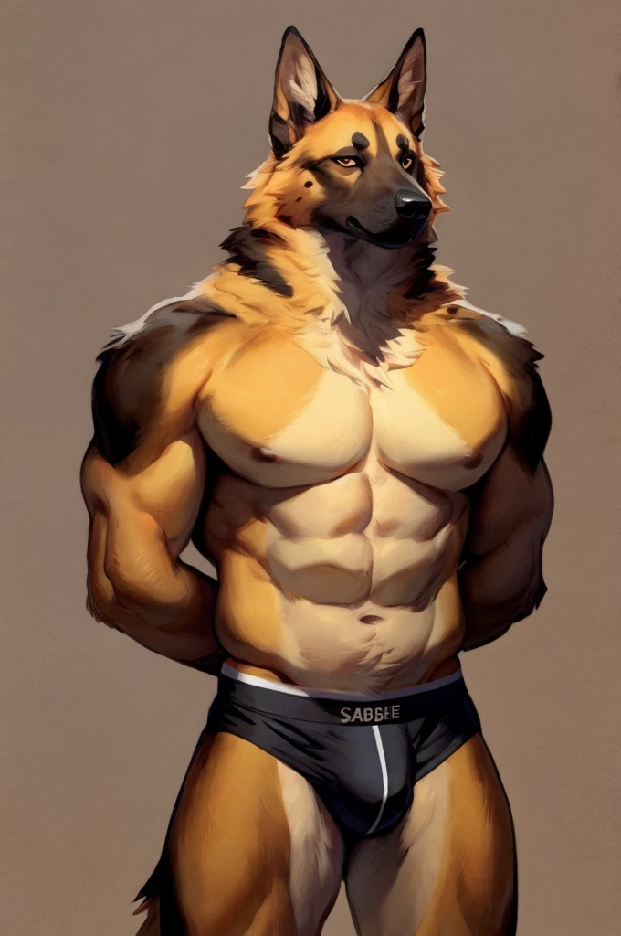 Solo, Furry, German Shepherd, Anthro, Male, E621, Standing, Muscular, Hands behind back, Wearing underwear, Plain background, Front view, Orange Fur, By bebebebebe