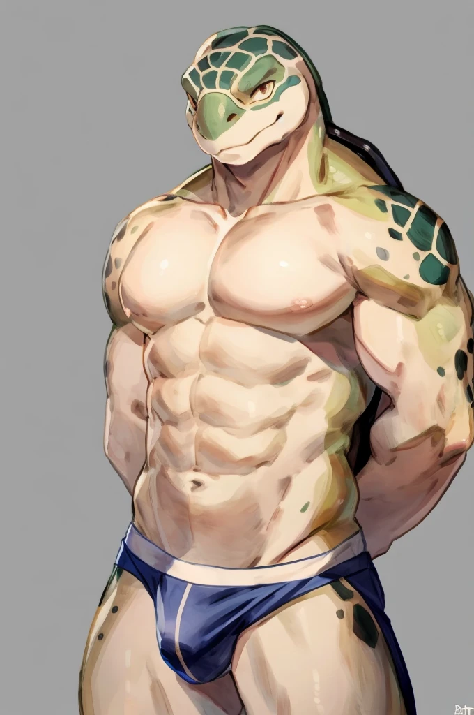 Solo, Furry, Sea Turtle, Anthro, Male, E621, Standing, Muscular, Hands behind back, Wearing underwear, Plain background, Front view, Light skin, By buta99