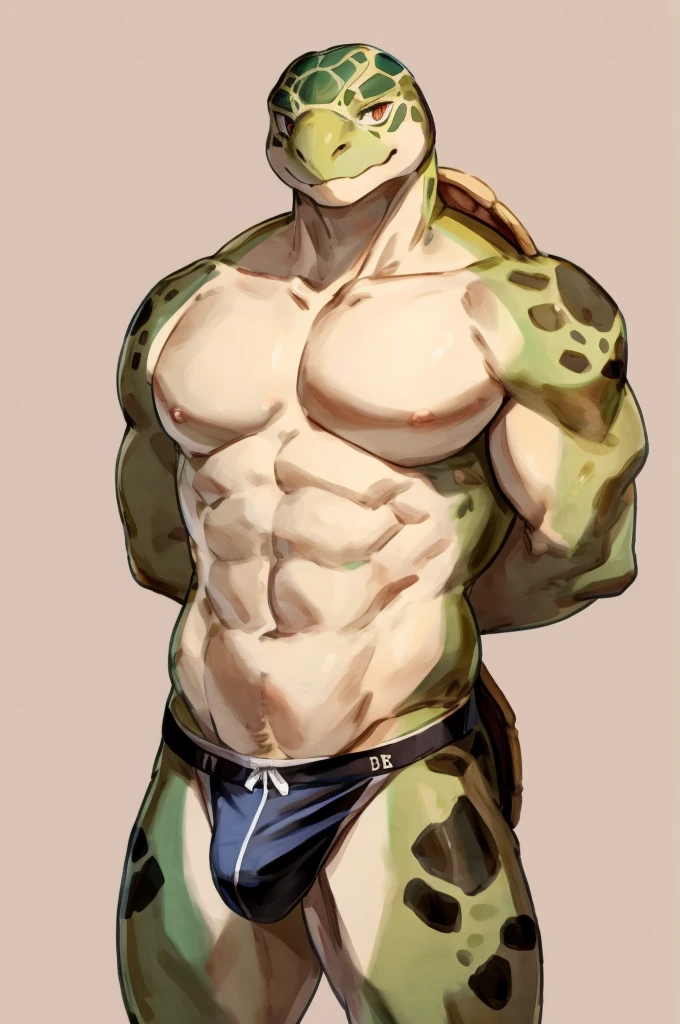 Solo, Furry, Sea Turtle, Anthro, Male, E621, Standing, Muscular, Hands behind back, Wearing underwear, Plain background, Front view, Light skin, By buta99