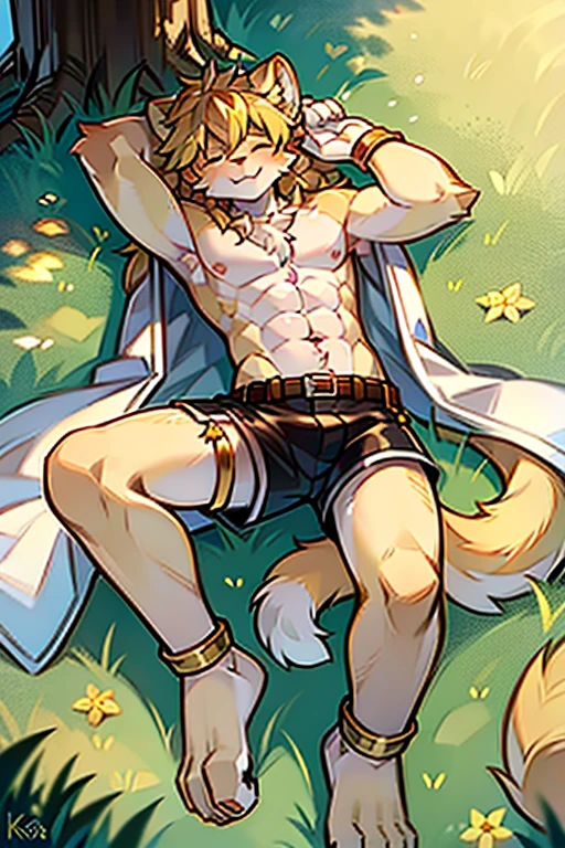 score_9, score_8_up, score_7_up, male, furry, high quality, hires, anthro, teenager, 16 years old, domestic cat, bright yellow fur, blue eyes, wide brown eyebrows, an excited expression, humanoid feet, slim body, prominent v-line, prominent abs, prominent legs, prominent forearm, prominent knees, white background, treasure trail, armpit hair, furry legs, nude, haked, cowering crouch with hand