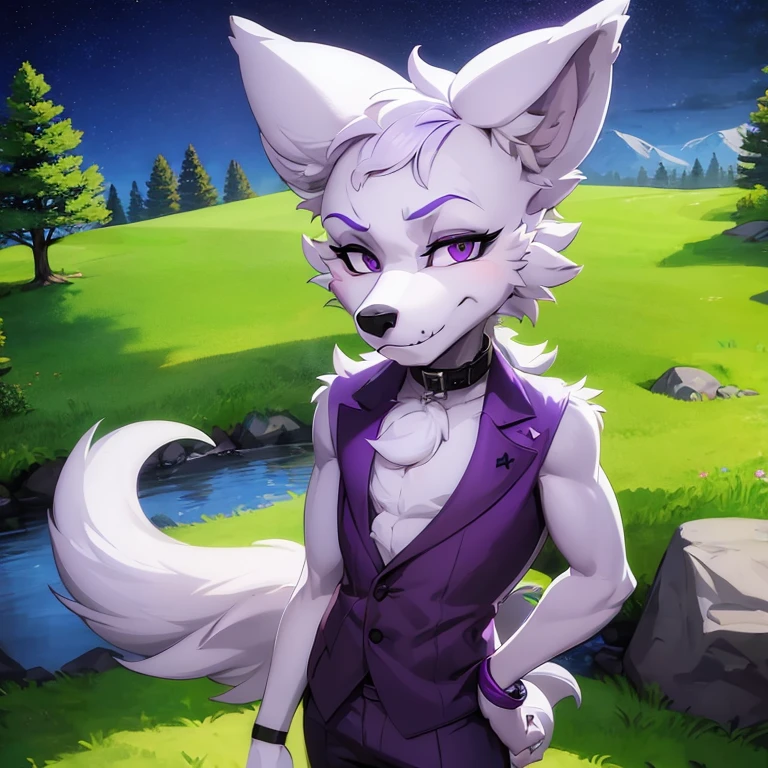 (masterpiece, best quality:1.1), (xnirox:1.2), 1male, lean stature, cute, wolf, White and Purple fur, (furry, anthro:1.1), , smile, solo, looking at viewer, purple eyes, collar, hand on hip, snout , outdoors, (night sky, midnight, dark and moody:1.05), trees, grass, rocks, fully clothed, standing, 1 male, White fur, purple fur,