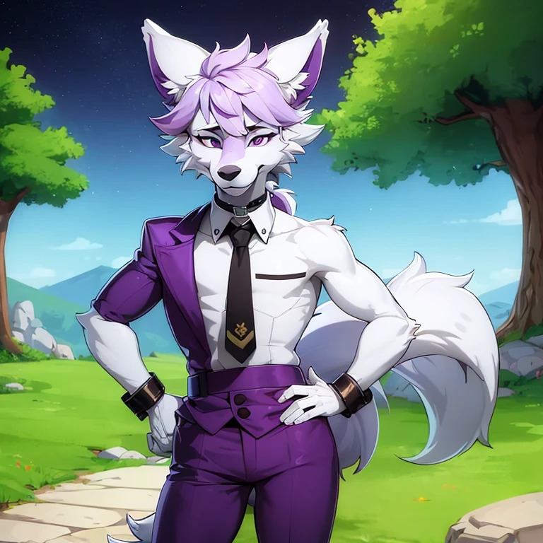 (masterpiece, best quality:1.1), (xnirox:1.2), 1male, lean stature, cute, wolf, White and Purple fur, (furry, anthro:1.1), , smile, solo, looking at viewer, purple eyes, collar, hand on hip, snout , outdoors, (night sky, midnight, dark and moody:1.05), trees, grass, rocks, fully clothed, standing, 1 male, White fur, purple fur, hands on hips, pants, shirt, 1male, solo, male