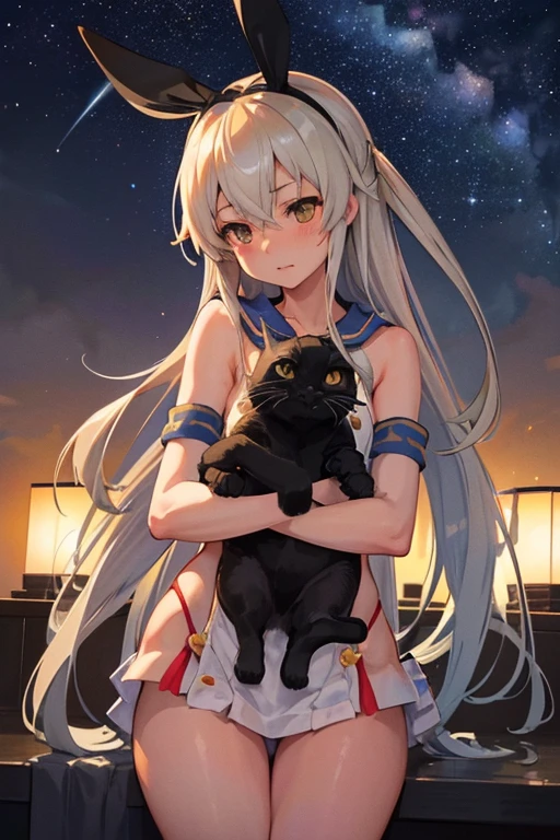 hyper detailed, perfect anatomy, extremely detailed and delicate, 1 girl, shimakaze(kancolle), 1 cat, night sky, stars, milkyway, hugging a black cat,