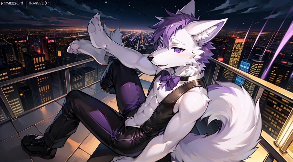 (furry art, uploaded on e621:1.4), (masterpiece:1.3), (best quality:1.2),(2D:1.0), (anime:1.0), (illustration:1.0), (sharp:1.2), (light_environment), (city), (clear, shiny:0.8), (impasto:1.1), (ultra-detailed:1.0) (1boy, solo), white and purple, (anthro furry:1.6), (anthro_male_wolf:1.2), (white and purple fur:1.6), tuxedo, long pants, pov from below, purple eyes